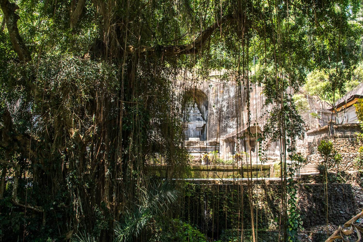 An eco-lodge tucked into a tropical forest glade, its mossy veranda suspended above a jungle floor with vines and ferns all around.