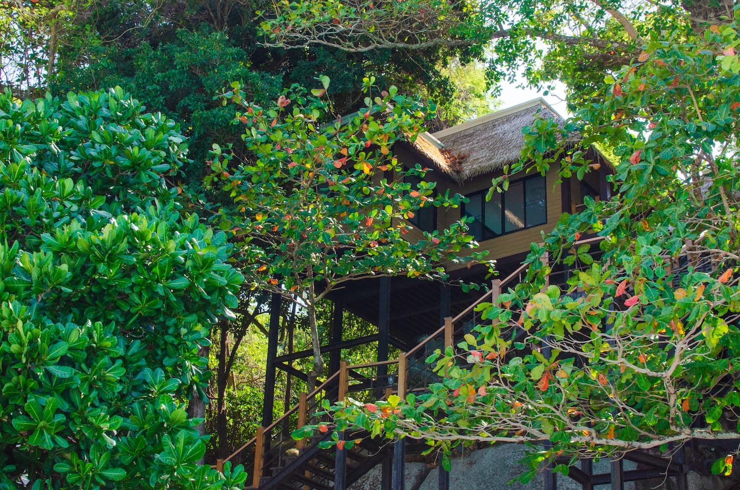 A rustic treehouse built on stilts among dense green foliage, with a wooden balcony and ladder leading up into the canopy.