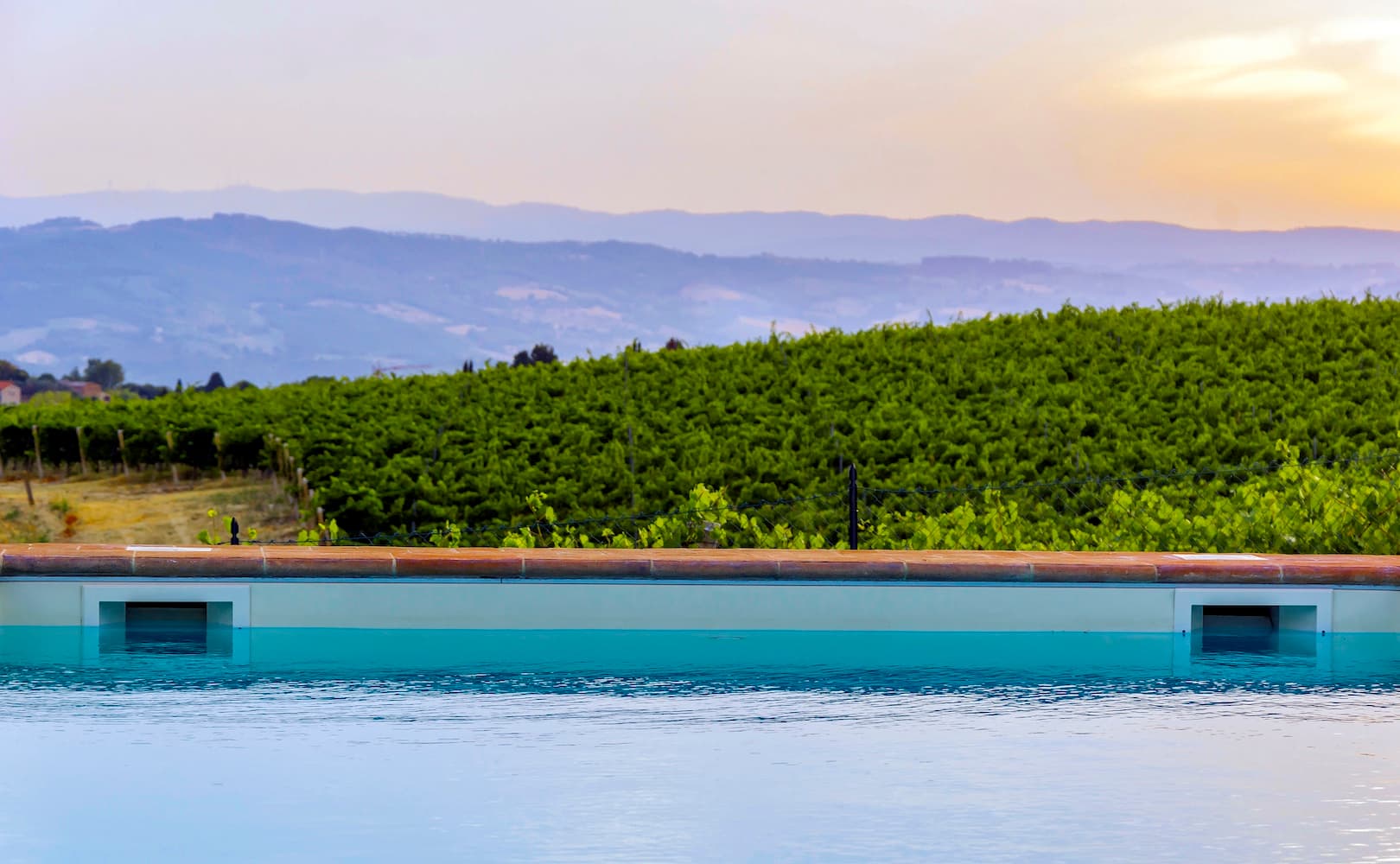 An infinity pool at dusk, its water edge aligned with rows of grapevines on a gentle hill, and low mountains in the distance.
